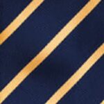 navy gold stripe