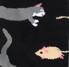 cat - mouse chase